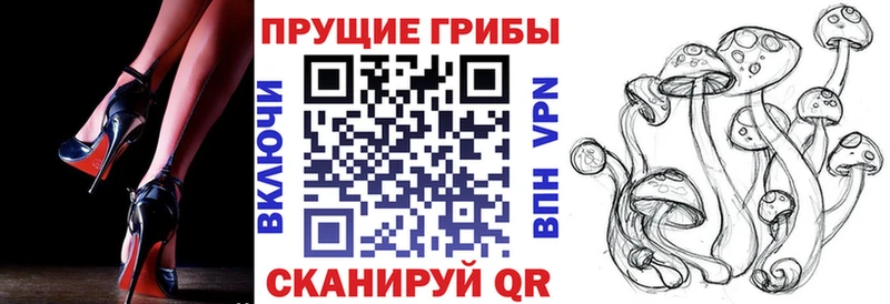 Галлюциногенные грибы Cubensis  Касимов 