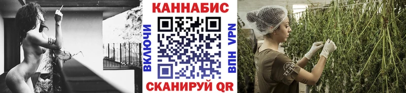 Конопля конопля Касимов